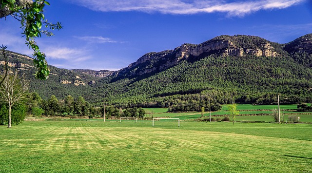 Zambia zambia football - football, football field, sport, herb, grass, maintenance, green, keep, texture, nature, moutains, grow, gardening, the goals, basketball court, basketball court, basketball court, basketball court, basketball court, basketball court